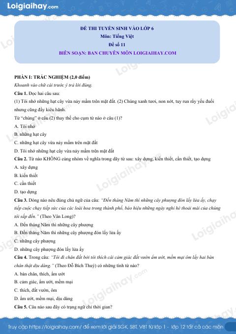 Đề thi thử vào lớp 6 môn Tiếng Việt - Đề số 11 có đáp án